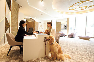 ホテル内のパブリックスペースは、リード付きならケージなしで愛犬と過ごせる