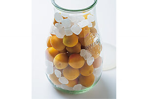 完熟梅の楽しみかた──塩で、砂糖で、お酒で。完熟梅を漬けてみよう！