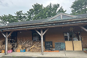 店舗のすぐ裏には、編集部Rが中学時代に海水浴をしていた橘湾が広がる