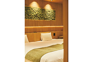 ベッドルームの壁には、苔でデザインした壁画がある。バスタオルやクッションなどのファブリックもモスグリーンカラーで統一（「苔スイートルーム」より）