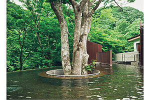 「渓流露天風呂」は、自然に包み込まれるような感覚を体験できる。夜空も素敵