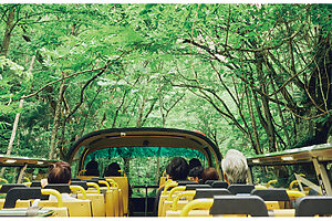 「渓流オープンバスツアー」は、5月中旬～11月上旬まで開催。徒歩とは違った目線で景色を見られるのでリピーターにも新鮮。先着順、4,400円（要予約）