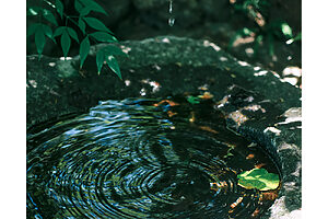 『玉露亭』敷地内には目に涼をもたらしてくれる、つくばいもある