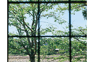 『玉露亭』からの景色は、宇治に来たことを実感させてくれる優雅なもの