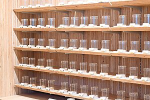 世界中から集めた約250種類の精油が並ぶ「アロマラボラトリー」