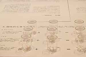 組み合わせによる香りの変化を体験