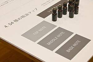 54種の精油マップ