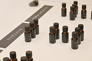 ベースノートからトップノートまで幅広い展開の「ウッディ」  