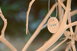 「落ち着く」「さわやか」など、香りから想起された言葉が吊るされていました