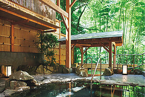 湯坂山の自然が目の前に広がる大浴場「竹の葉」。泉質はアルカリ性単純泉。肌をなめらかに整え、慢性的な消化器の不調や筋肉痛にも効果が