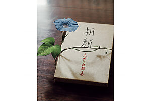 造形作家・須田悦弘による、志賀直哉の短編『朝顔』をモチーフにした木彫作品が部屋に飾られている