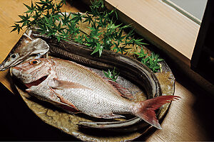 来島海峡にある大島の漁師・藤本純一さんの鯛と鱧