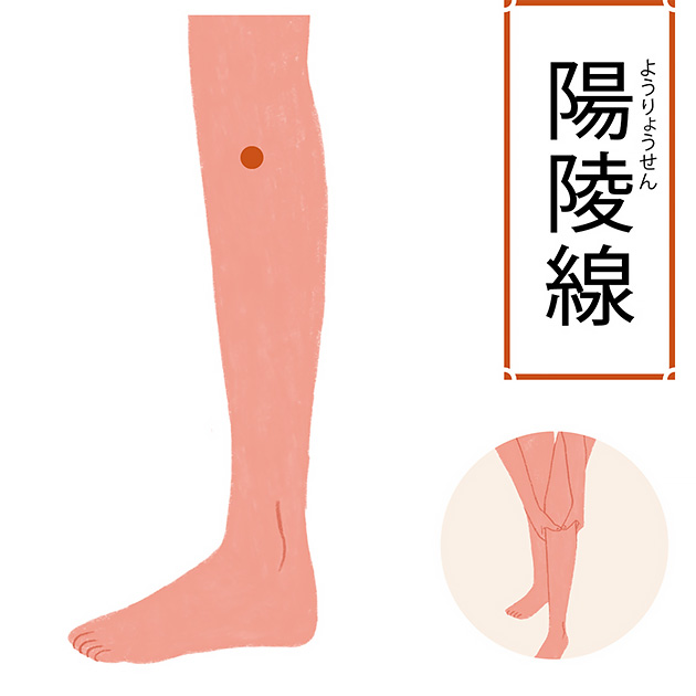 手足のツボで簡単セルフケア──足の4つのツボでバランスを整える