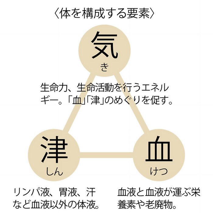 過労、ストレス、目や胃のトラブル──薬膳の観点から選ぶ、元気を取り戻す食材