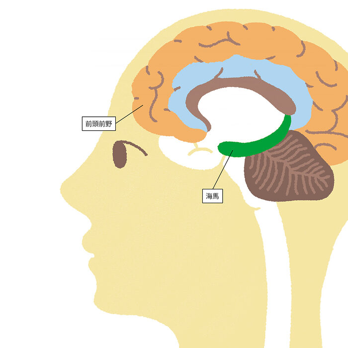 そろそろ限界越え。“脳”のお疲れ、どうするべき？【症状チェックと脳疲労Q&A】