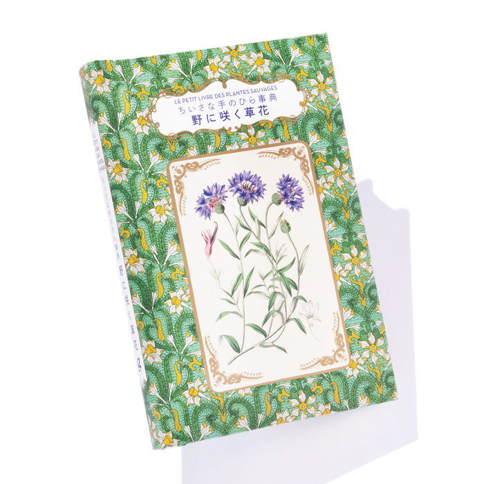 『ちいさな手のひら事典　野に咲く草花』ミシェル・ポーヴェ 著　いぶき けい 訳──草花との小さな隔たりを、埋めてくれた本