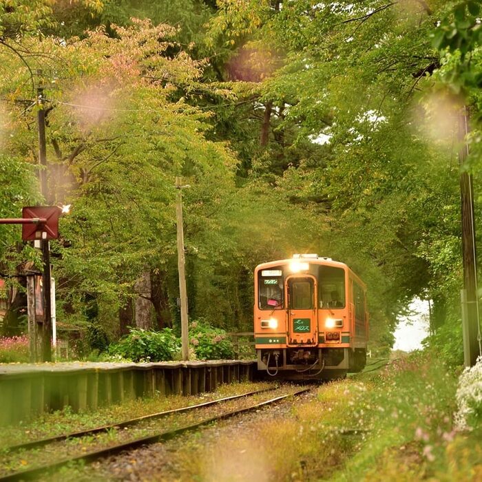 フェリシモから「大人旅」の販売開始。「秋の青森」をめぐる特別ツアー参加者募集中！