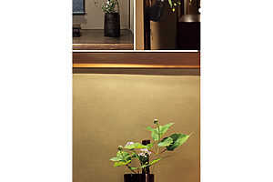 花あしらいは、空間をなごます季節の野の花を