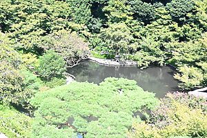 テラスから見た庭園