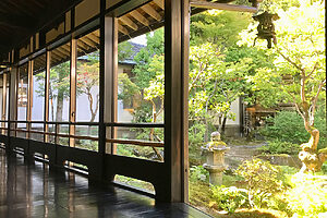 日本建築の美しさが際立つ廊下と庭園。洗練された木造建築の趣に癒される