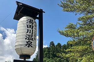 湯田川は筍の産地としても有名。有名料亭や割烹でも人気の高い湯田川の筍は、えぐみがなく甘味たっぷり。季節には、各旅館で筍料理が振舞われる