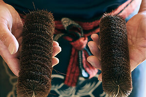 4. 左が巻き上げた状態。右が刈り込み機を通して表面を刈り揃えたもの