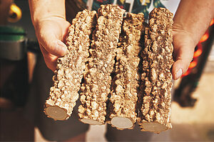 仕上がりの長さにカットした山椒の木。木皮に荒い凹凸があるのが特徴