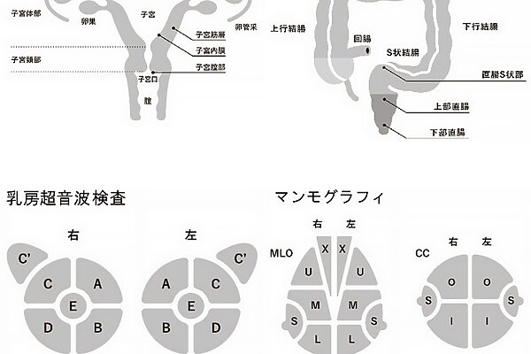 発症しやすい病気の兆候に気づくために、人間ドックで注意したい6つの項目