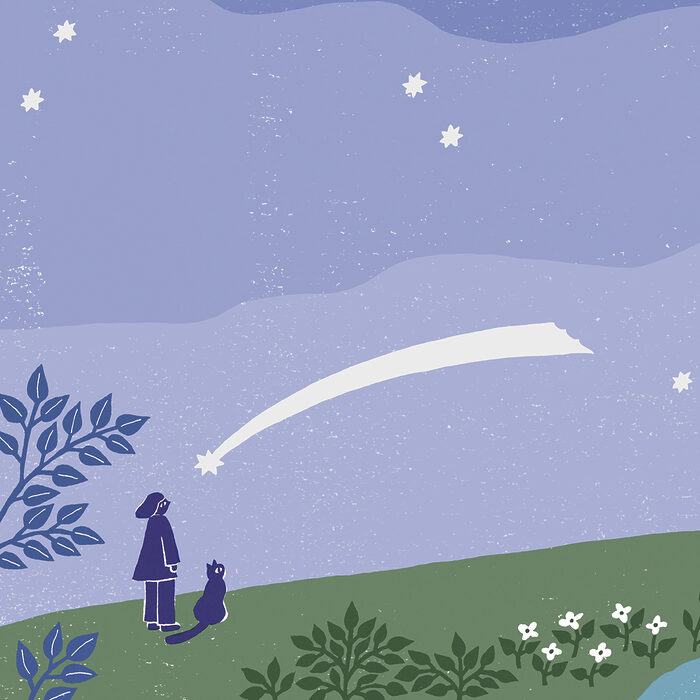 こんな時はどうする？ 閉経前後の月経のモヤモヤを解決！──慌てず怯えず過ごしたいから、更年期の不正出血と閉経の話