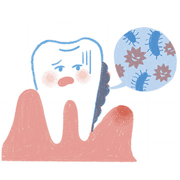 歯周病は万病の元──大人の歯を守る最強メンテナンス！