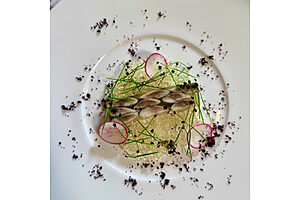 「宮城県産金華いわしとトマトのゼリーのテリーヌ仕立て　黒オリーブの乾燥パウダーとラディッシュのサラダ」透明ながらトマトの風味があります