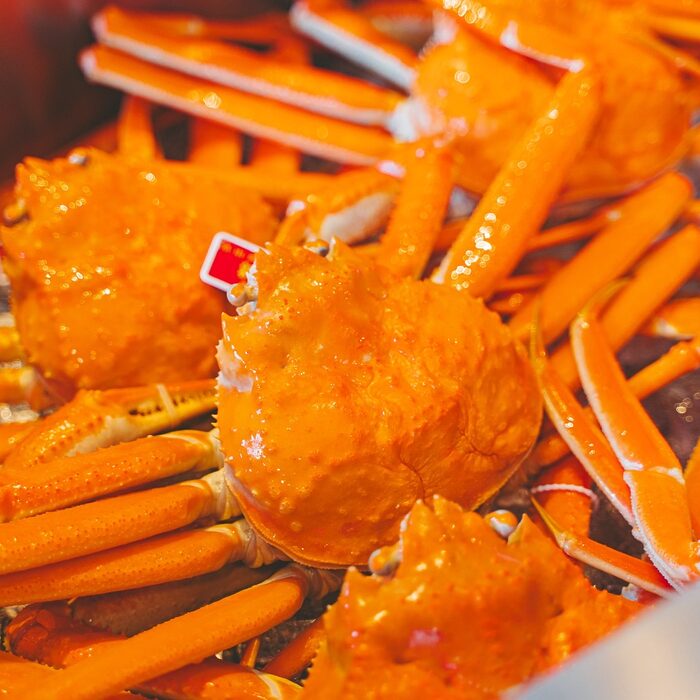 富山の鮨はなぜおいしい？ “天然のいけす”をめぐる味覚の旅へ