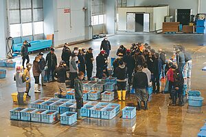 ものの数分ですべてのカニが競り落とされてしまいました・・・！