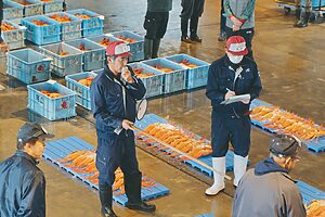 威勢の良いセリ人の掛け声