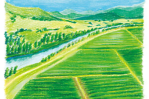 果樹園からクレイドルマウンテンが遠くに