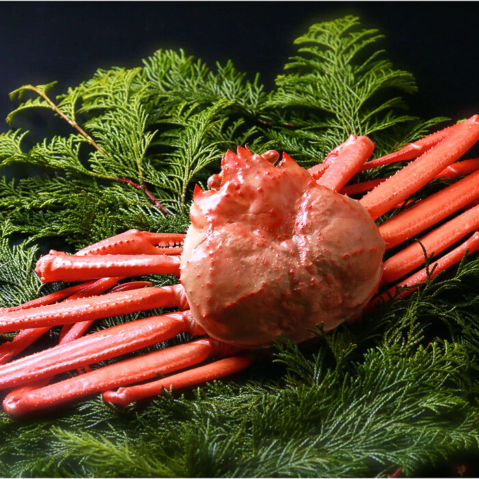 【ご褒美・開運旅】蟹取？ 星取？ 今年の旅初めは魅力再発見の鳥取へ