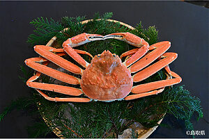 若松葉がに（漁期2月）。脱皮して間もない雄のズワイガニ。漁期が限られ、また県外にほとんど出ないので希少だが、比較的リーズナブル