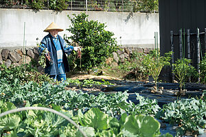 自分で育てた野菜がある安心感。 自己防衛は食から