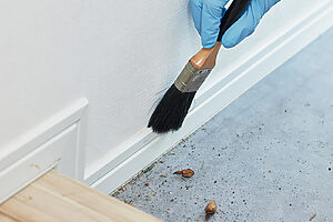 玄関はまず、たたきに埃や砂を集めて掃除機で吸い取る。巾木や隅の埃は刷毛を使うと便利。埃掃除には、幅が広すぎず、毛足の長い刷毛が使いやすい