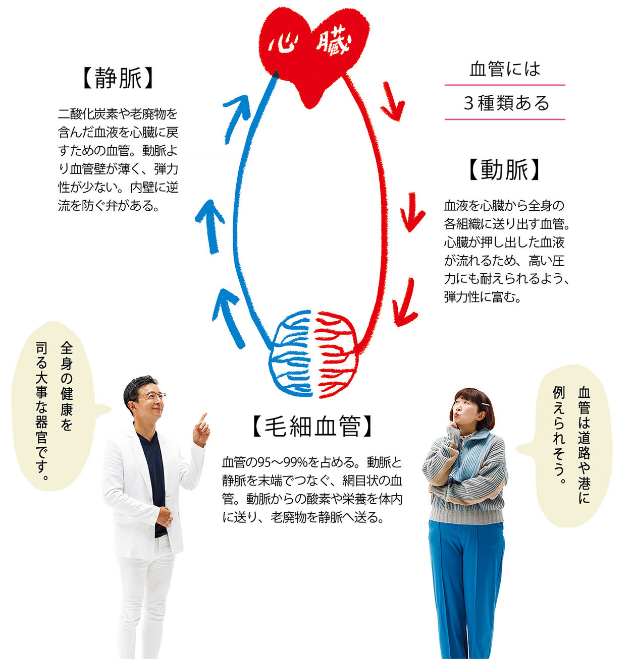なぜ“血管は老化”するの？【健康の気になる川村エミコさんが、血管先生