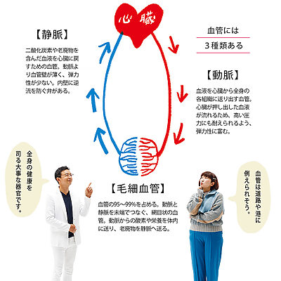 なぜ“血管は老化”するの？【健康の気になる川村エミコさんが、血管先生に聞きました】vol.2