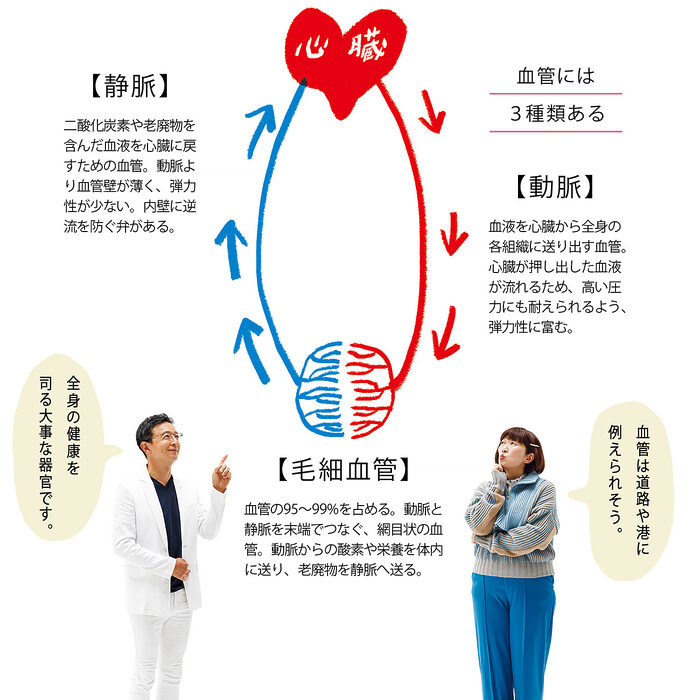 なぜ“血管は老化”するの？【健康の気になる川村エミコさんが、血管先生に聞きました】vol.2