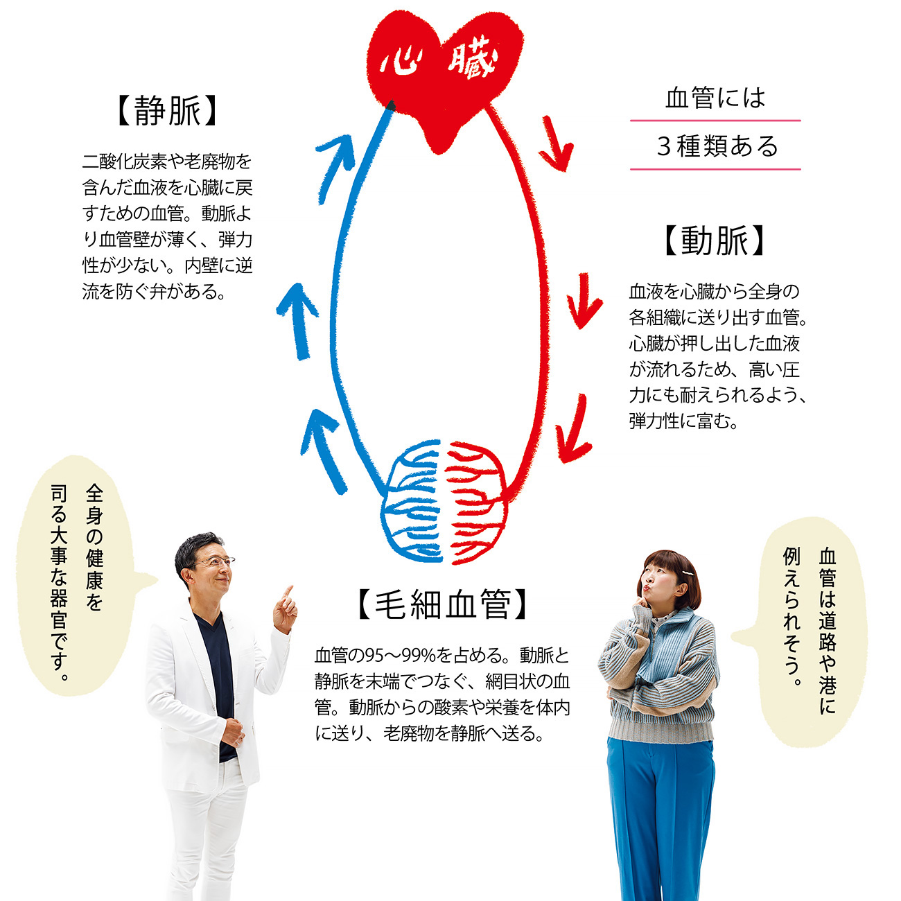 なぜ“血管は老化”するの？【健康の気になる川村エミコさんが、血管先生