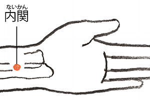 ストレスや緊張などで優位になった交感神経を鎮めるツボ。手首の内側の横ジワから指幅3本分、腕の幅の中央部分にある。5秒かけて押し、5秒かけてゆっくり離す。左右ともに