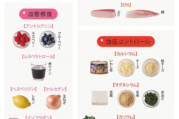 再生、修復、コントロール──3つの方向性で栄養チャージして、“血管を丈夫でしなやかにする”食事とは？