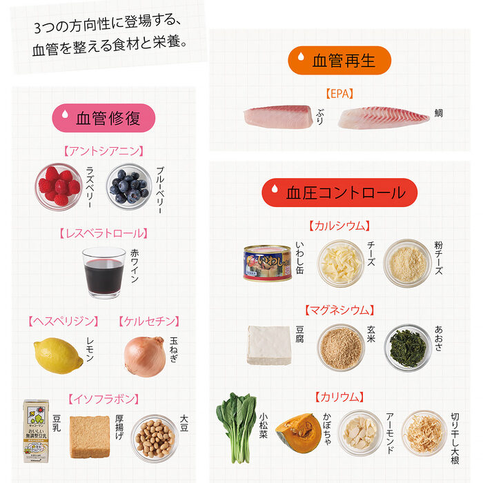 再生、修復、コントロール──3つの方向性で栄養チャージして、“血管を丈夫でしなやかにする”食事とは？