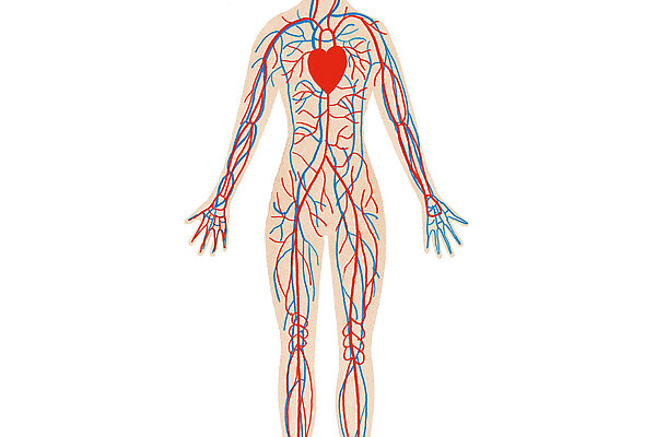 “ゴースト血管”をご存じですか？