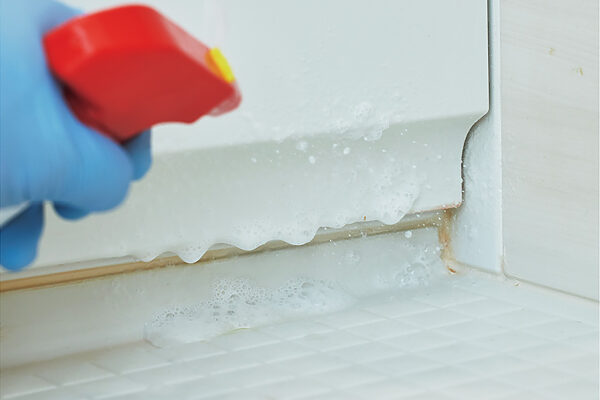 お風呂・鏡・掃除機の掃除方法を徹底解説！ ──カビや水アカ、埃を取り除いて浄化パワーをアップ