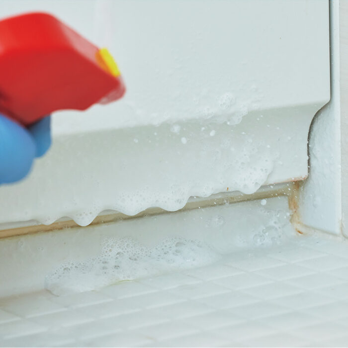 お風呂・鏡・掃除機の掃除方法を徹底解説！ ──カビや水アカ、埃を取り除いて浄化パワーをアップ