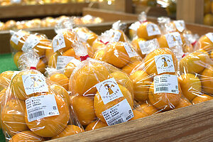 色鮮やかな旬のみかんも